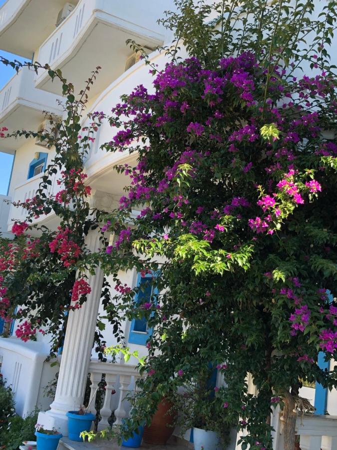 Romantika Shëngjin Екстериор снимка